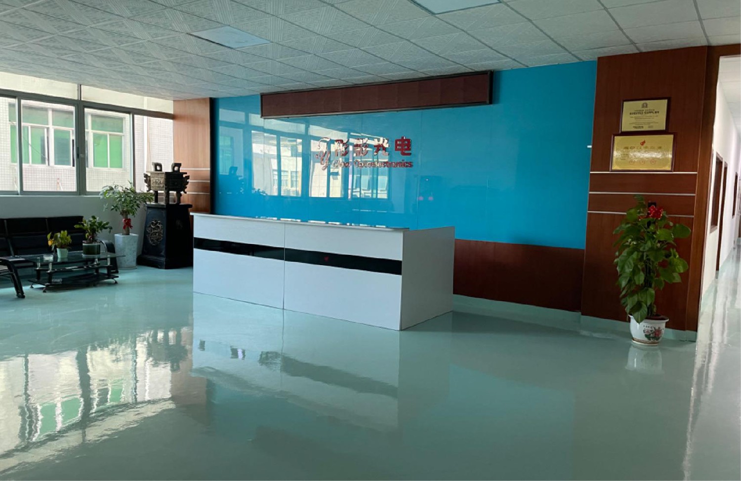 Company Overview